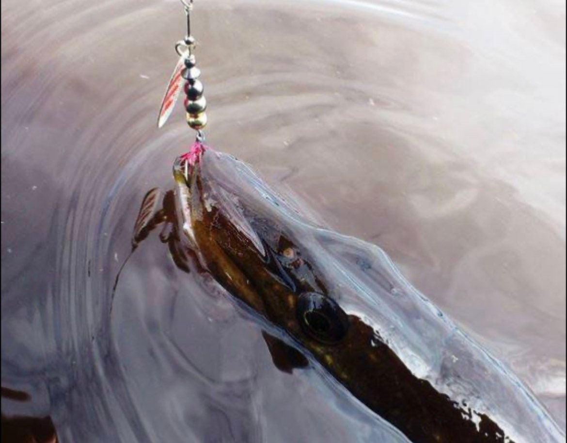 Personalized Pro quality Spinner Bait for Fishing gift pontoon 21 trait #4 bait 16